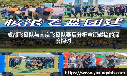 成都飞盘队与南京飞盘队赛后分析意识碰撞的深度探讨