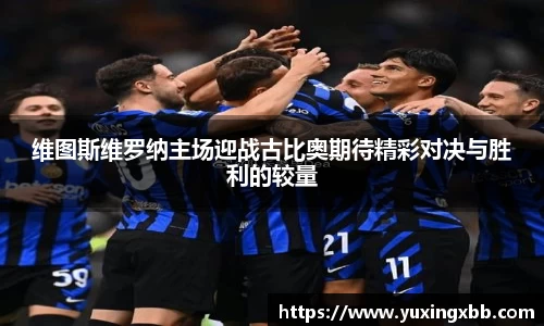 维图斯维罗纳主场迎战古比奥期待精彩对决与胜利的较量